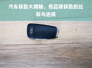 中医药品牌典范，传承与创新共融的典范之作
