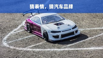 猜表情，猜汽车品牌