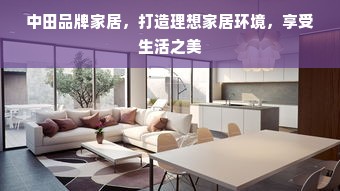 中田品牌家居，打造理想家居环境，享受生活之美
