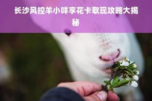 长沙风控羊小咩享花卡取现攻略大揭秘