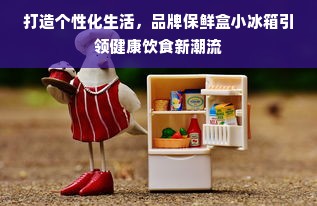 打造个性化生活，品牌保鲜盒小冰箱引领健康饮食新潮流