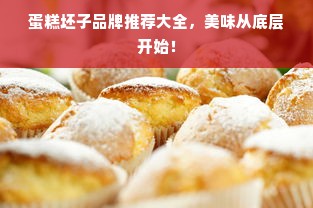 秒到账分期乐提现，轻松实现资金流动，提升消费体验