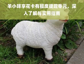 羊小咩享花卡有额度提现零元，深入了解与实用指南