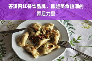 苍溪网红餐饮品牌，掀起美食热潮的幕后力量