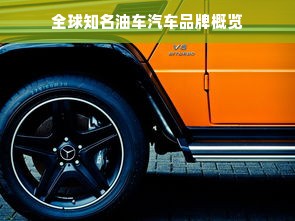 全球知名油车汽车品牌概览