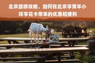 北京旅游攻略，如何在北京享受羊小咩享花卡带来的优惠和便利