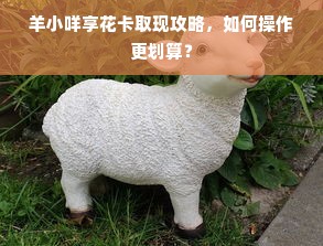 羊小咩享花卡取现攻略，如何操作更划算？