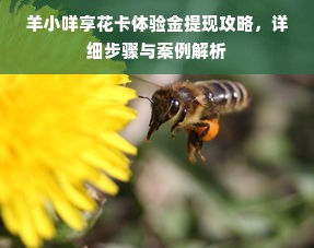 羊小咩享花卡体验金提现攻略，详细步骤与案例解析