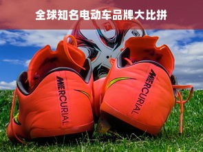 全球知名电动车品牌大比拼
