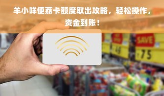 羊小咩便荔卡额度取出攻略，轻松操作，资金到账！