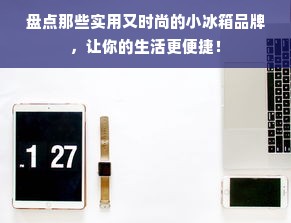 盘点那些实用又时尚的小冰箱品牌，让你的生活更便捷！