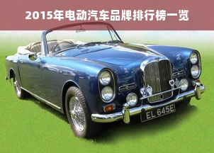 2015年电动汽车品牌排行榜一览