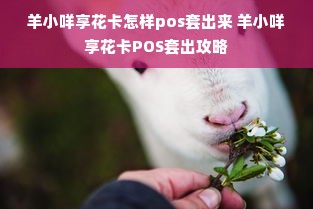 羊小咩享花卡怎样pos套出来 羊小咩享花卡POS套出攻略
