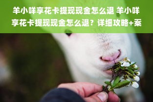 宝山区板材定做品牌推荐，品质与创意的完美结合