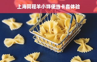 上海同程羊小咩便当卡套体验