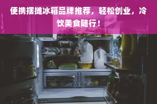 便携摆摊冰箱品牌推荐，轻松创业，冷饮美食随行！