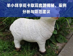 羊小咩享花卡取现套路揭秘，案例分析与防范建议