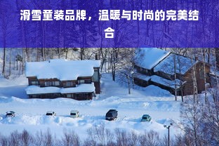 滑雪童装品牌，温暖与时尚的完美结合