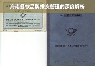 海南餐饮品牌投资管理的深度解析