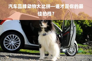 汽车品牌动物大比拼—谁才是你的最佳拍档？