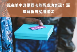 现在羊小咩便荔卡能否成功套现？深度解析与实用建议