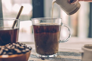 西安茶叶品牌大盘点，品味古城的茶香韵味