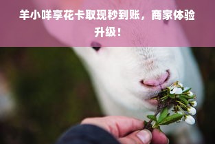 羊小咩享花卡取现秒到账，商家体验升级！