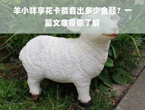 羊小咩享花卡能套出多少金额？一篇文章带你了解