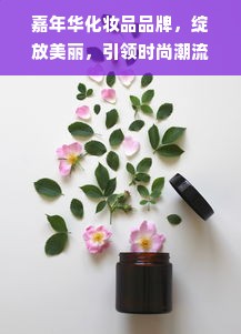 嘉年华化妆品品牌，绽放美丽，引领时尚潮流