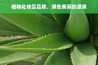 植物化妆品品牌，绿色美丽的源泉