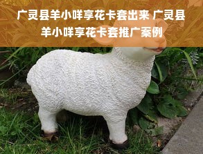 广灵县羊小咩享花卡套出来 广灵县羊小咩享花卡套推广案例
