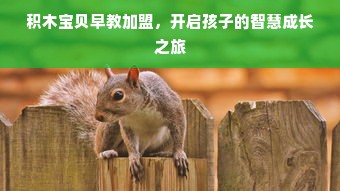 积木宝贝早教加盟，开启孩子的智慧成长之旅