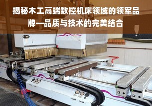 揭秘木工高端数控机床领域的领军品牌—品质与技术的完美结合
