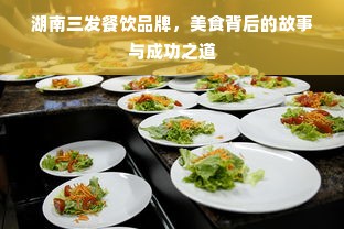 湖南三发餐饮品牌，美食背后的故事与成功之道