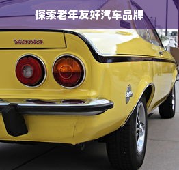 探索老年友好汽车品牌