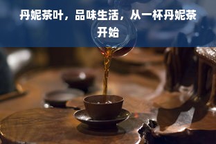 白条提现平台盘点