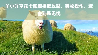 羊小咩享花卡额度提取攻略，轻松操作，资金到账无忧