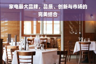 家电最大品牌，品质、创新与市场的完美结合
