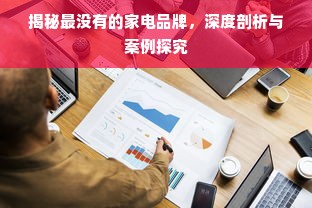 揭秘最没有的家电品牌，深度剖析与案例探究