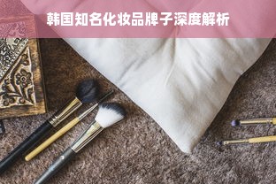 韩国知名化妆品牌子深度解析