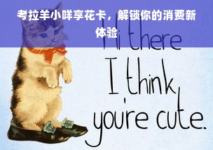 考拉羊小咩享花卡，解锁你的消费新体验