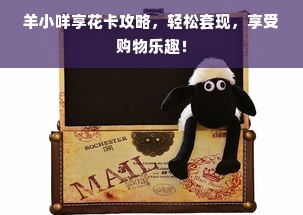 羊小咩享花卡攻略，轻松套现，享受购物乐趣！