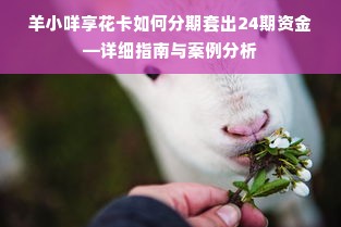 羊小咩享花卡如何分期套出24期资金—详细指南与案例分析