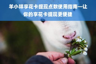 羊小咩享花卡提现点数使用指南—让你的享花卡提现更便捷