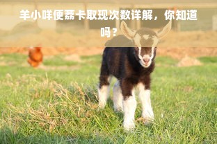 羊小咩便荔卡取现次数详解，你知道吗？