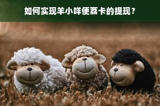 如何实现羊小咩便荔卡的提现？