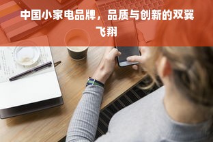 中国小家电品牌，品质与创新的双翼飞翔