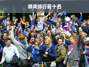 游戏排行前十名