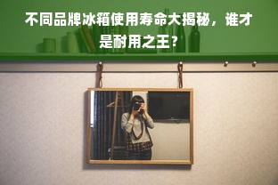 不同品牌冰箱使用寿命大揭秘，谁才是耐用之王？