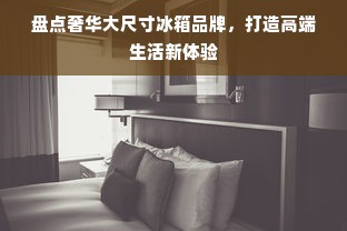 盘点奢华大尺寸冰箱品牌，打造高端生活新体验